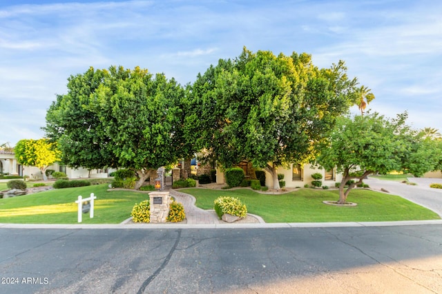 view of property hidden behind natural elements with a front yard