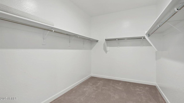 spacious closet with carpet floors