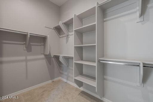 walk in closet with carpet flooring