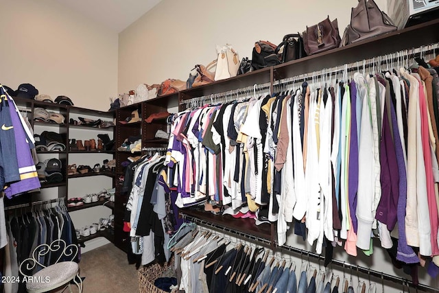 spacious closet featuring carpet