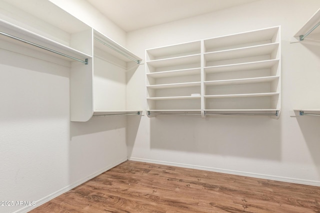 walk in closet featuring wood finished floors