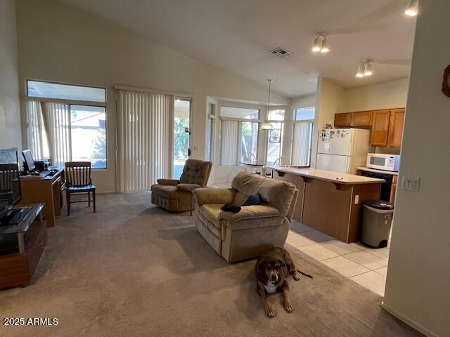 carpeted living room with vaulted ceiling