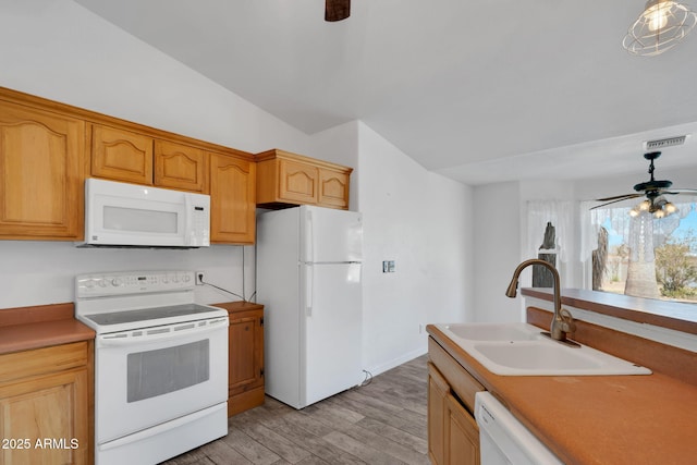 kitchen with sink, white appliances, light hardwood / wood-style flooring, pendant lighting, and ceiling fan