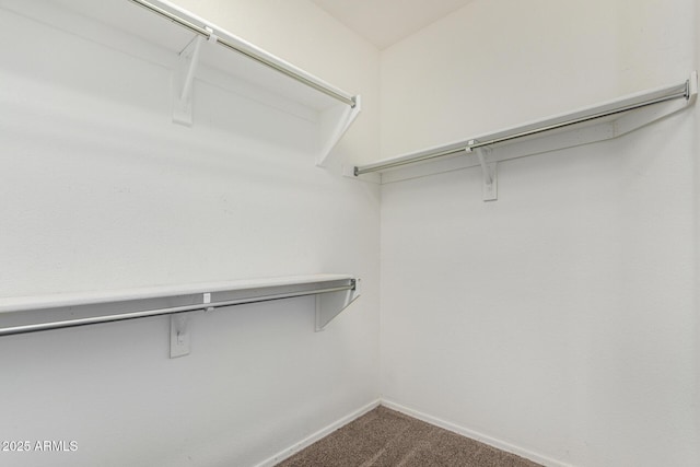6372 S Callaway Dr, Chandler, AZ 85249 - spacious closet with dark colored carpet