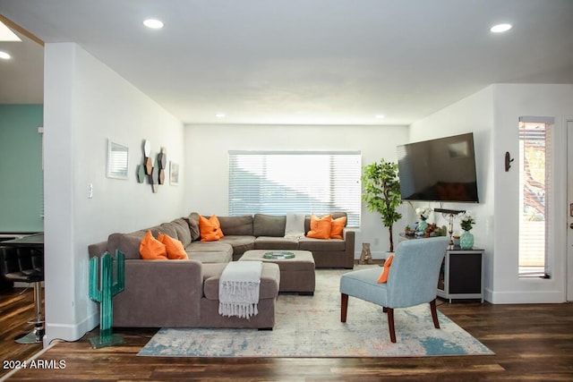 living room with dark hardwood / wood-style flooring and a healthy amount of sunlight