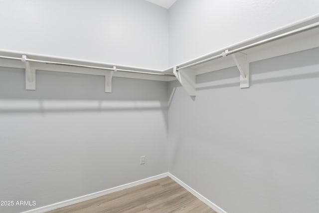 walk in closet featuring wood finished floors