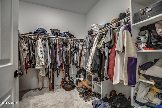 spacious closet featuring carpet