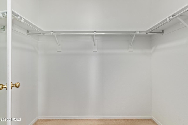 2421 W Romley Rd, Phoenix, AZ 85041 - spacious closet featuring light carpet