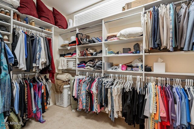 spacious closet featuring carpet