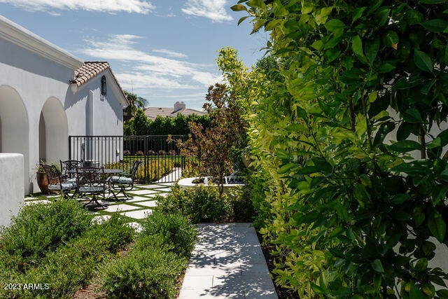 view of yard with a patio area