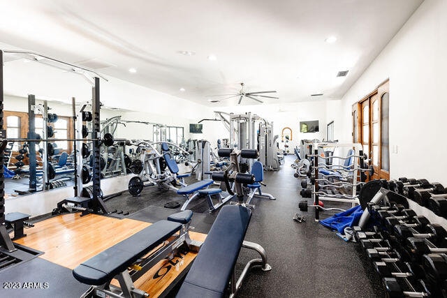 workout area featuring ceiling fan and a healthy amount of sunlight