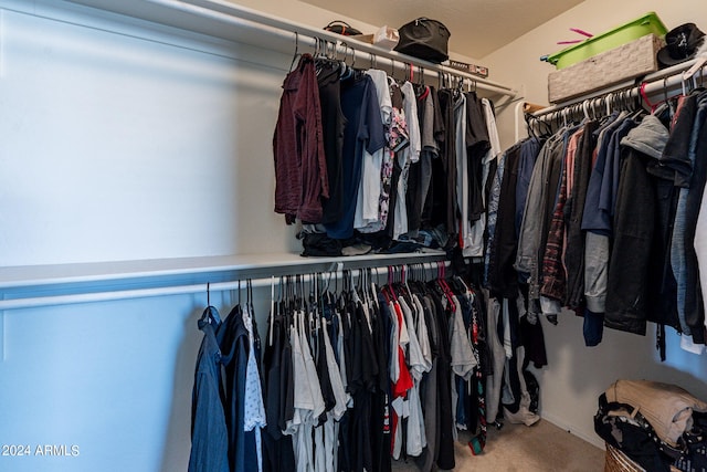 spacious closet with carpet