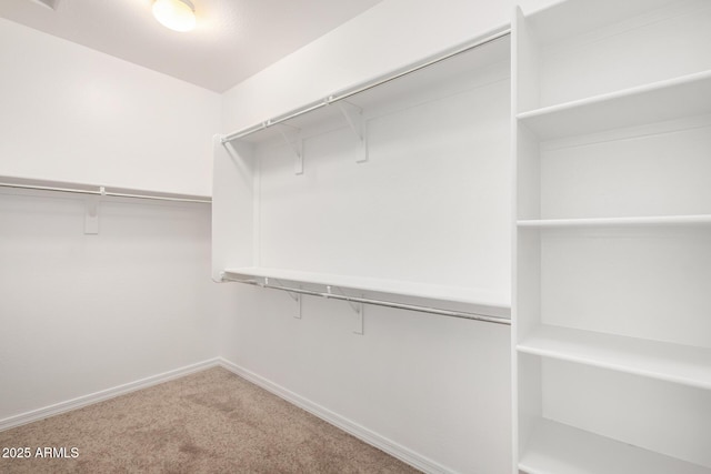 spacious closet with carpet floors