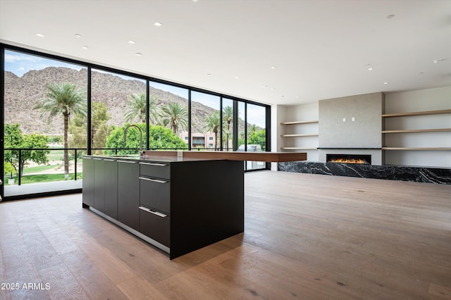 kitchen with modern cabinets, dark cabinetry, a sink, built in features, and light wood-style floors