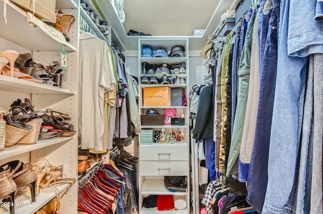 view of walk in closet