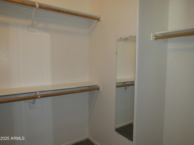 view of walk in closet