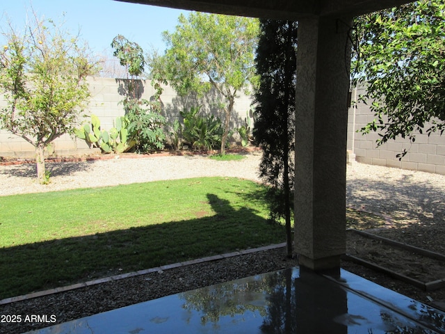 view of yard with a fenced backyard