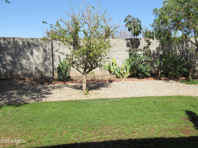 view of yard featuring a fenced backyard