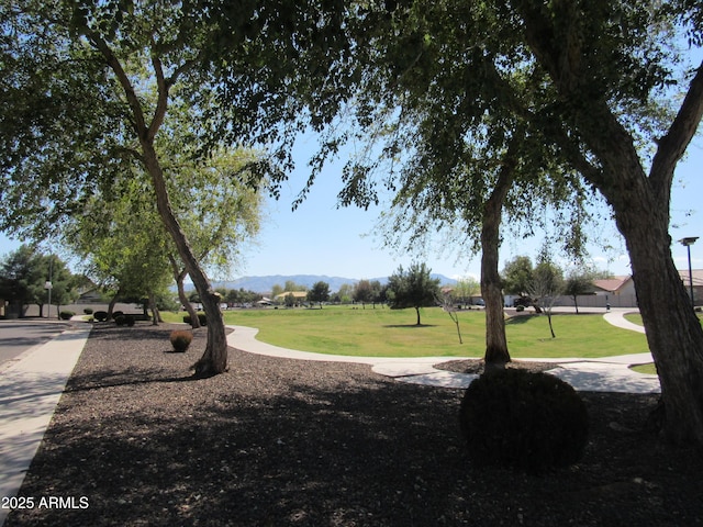 view of property's community featuring a mountain view and a yard