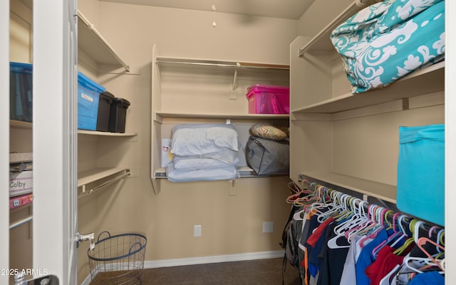 view of spacious closet