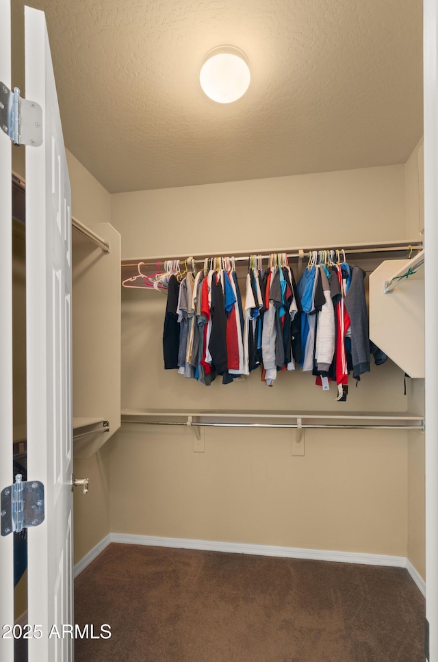 spacious closet featuring carpet