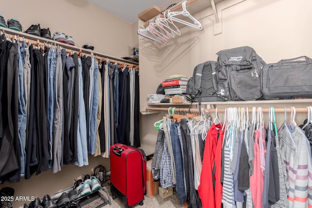 walk in closet featuring carpet