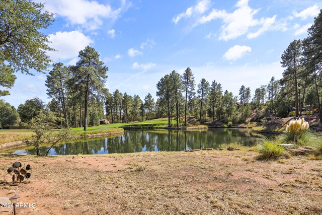 view of water feature