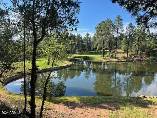 property view of water