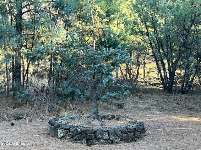 view of landscape