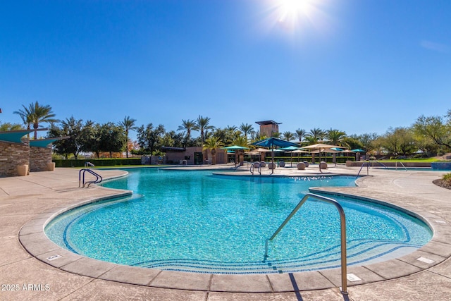 view of pool featuring a patio