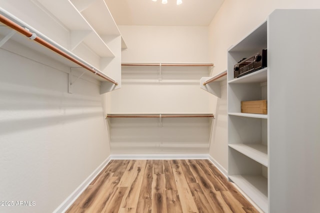 walk in closet with hardwood / wood-style flooring