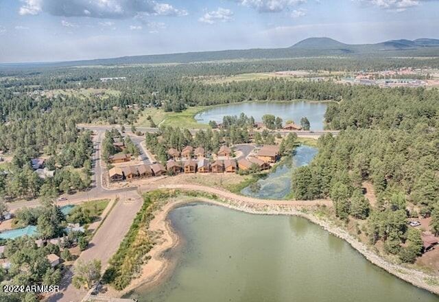 drone / aerial view with a water and mountain view