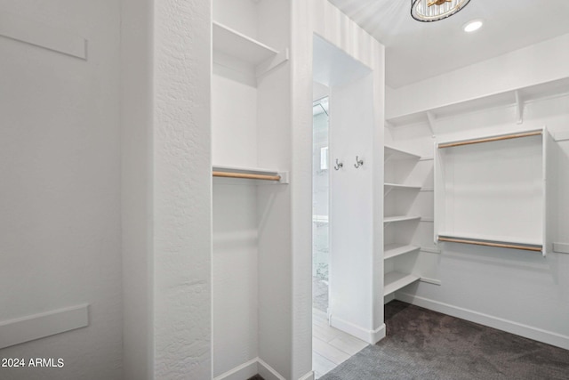 walk in closet featuring carpet flooring