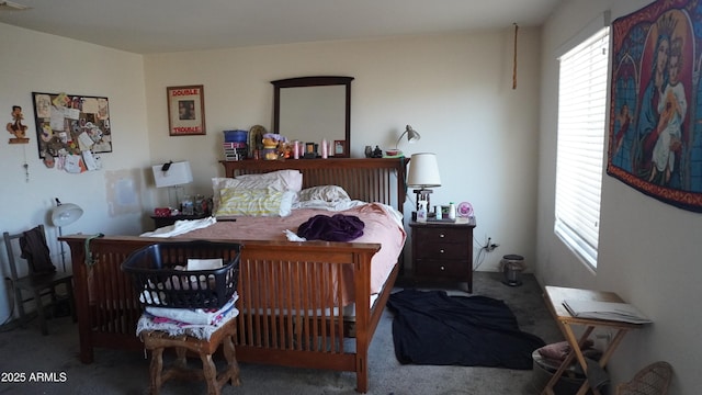 1309 W Park St, Phoenix, AZ 85041 - bedroom featuring carpet flooring and multiple windows