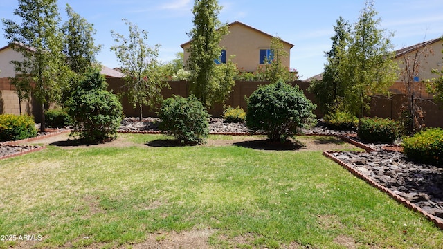 1309 W Park St, Phoenix, AZ 85041 - view of yard