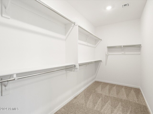 spacious closet with carpet