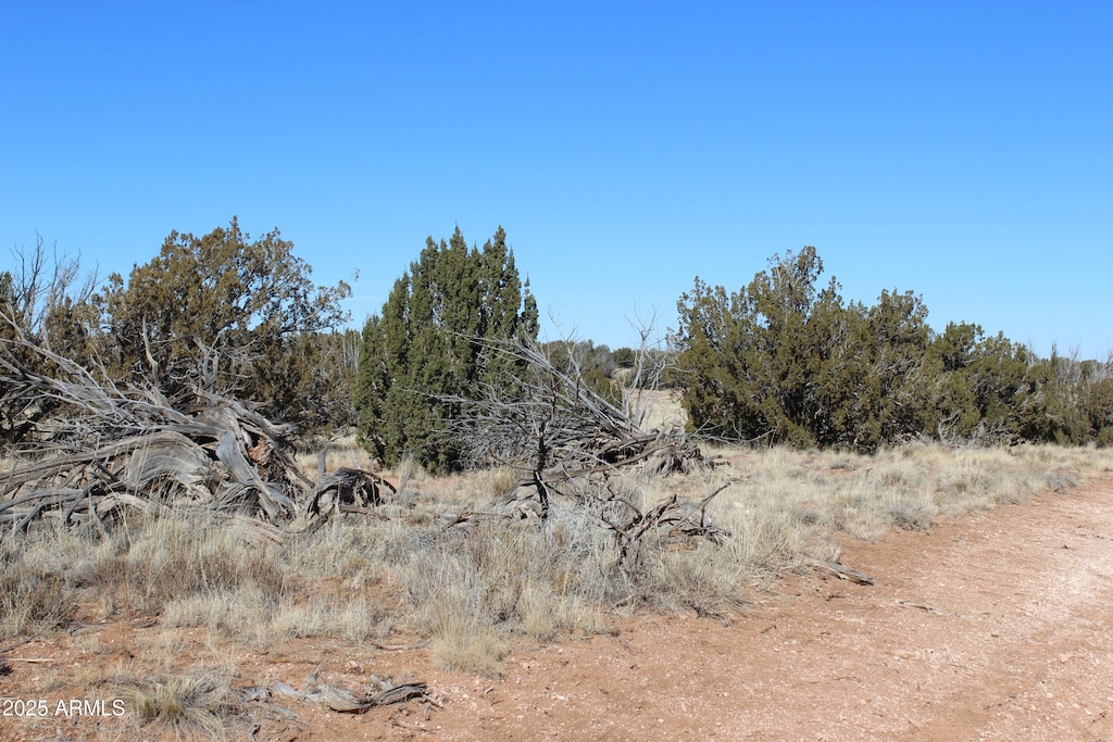 1924 Hutch Rd Unit 39, Heber, AZ 85928