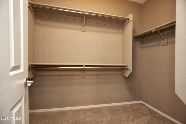 spacious closet with carpet