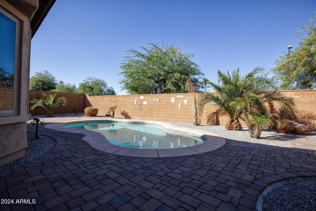 view of swimming pool with a patio area