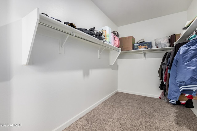 walk in closet with carpet floors