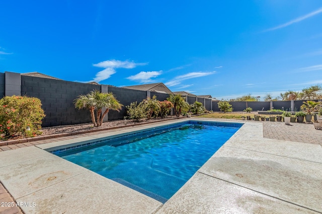 view of pool featuring a patio area, a fenced backyard, and a fenced in pool