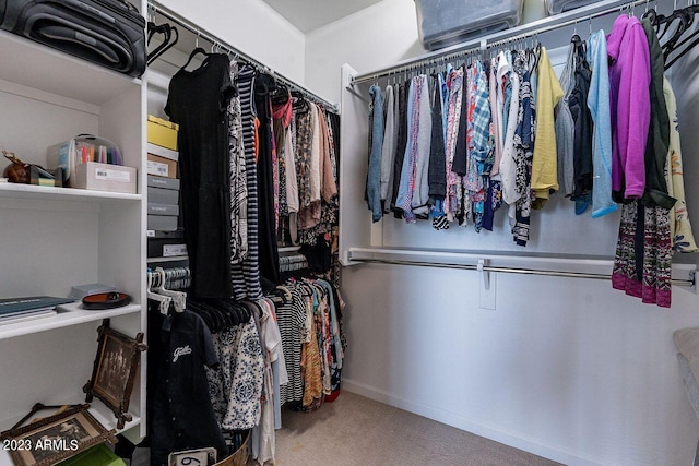 walk in closet featuring carpet flooring