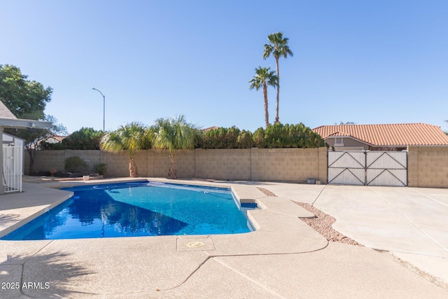 view of pool with a patio