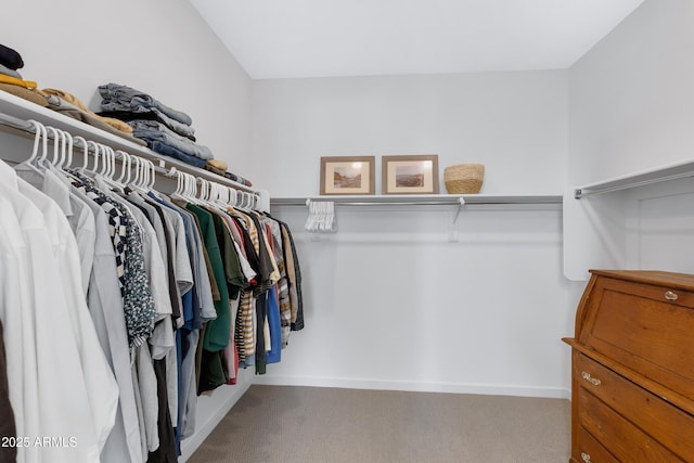 walk in closet featuring carpet