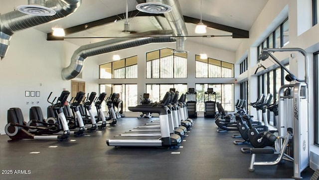 gym featuring lofted ceiling