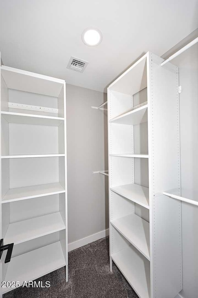 spacious closet with dark carpet