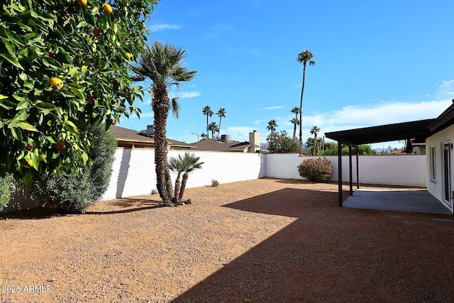 view of yard featuring a patio