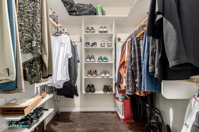 1012 E Wagon Wheel Dr, Phoenix, AZ 85020 - walk in closet with wood finished floors