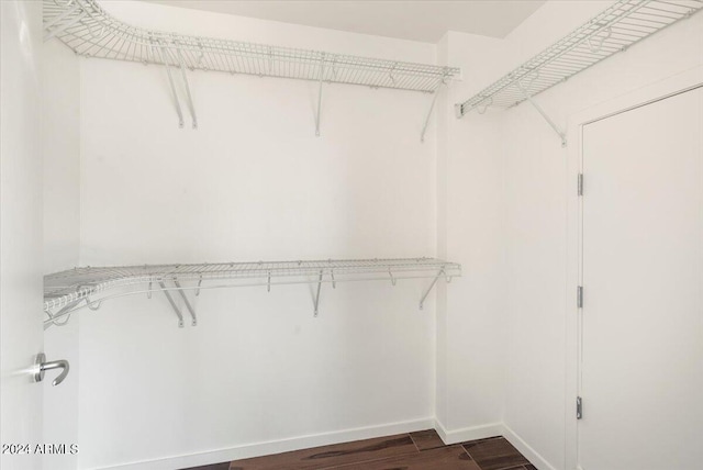 spacious closet with dark wood-type flooring