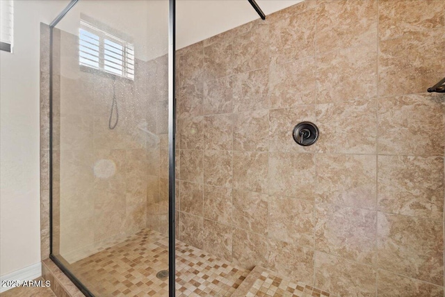 1623 E Hidalgo St, Apache Junction, AZ 85119 - full bath with a tile shower